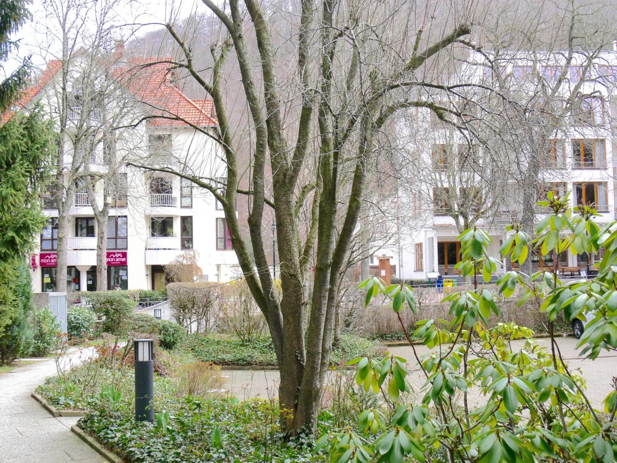 Ferienwohnung Hudewusch Bad Harzburg Extérieur photo